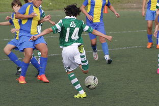 开云平台-塞内加尔翻盘中国，内马尔高光表现——足球场上的绝地逆转