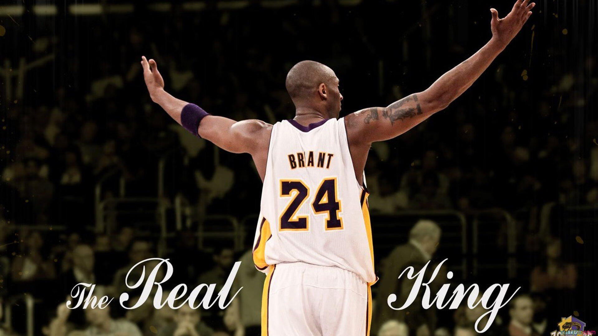 开云APP-当欧冠决赛悬念被提前撕碎，上海队的公牛式碾压，诠释了怎样的胜利哲学？